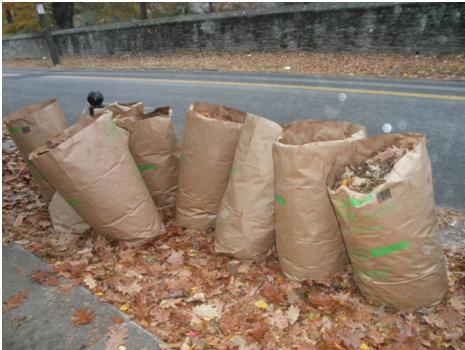 Philly Bagged Leaf Drive 2013: WCI Weds?