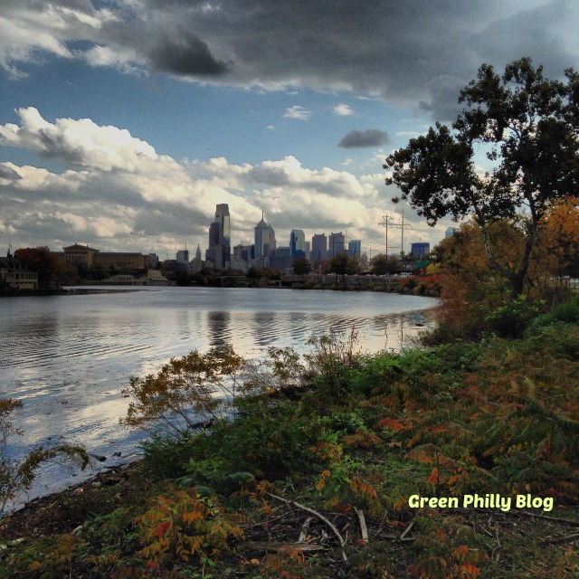 10 Best Philly Healthy Living & Green Instagram Accounts