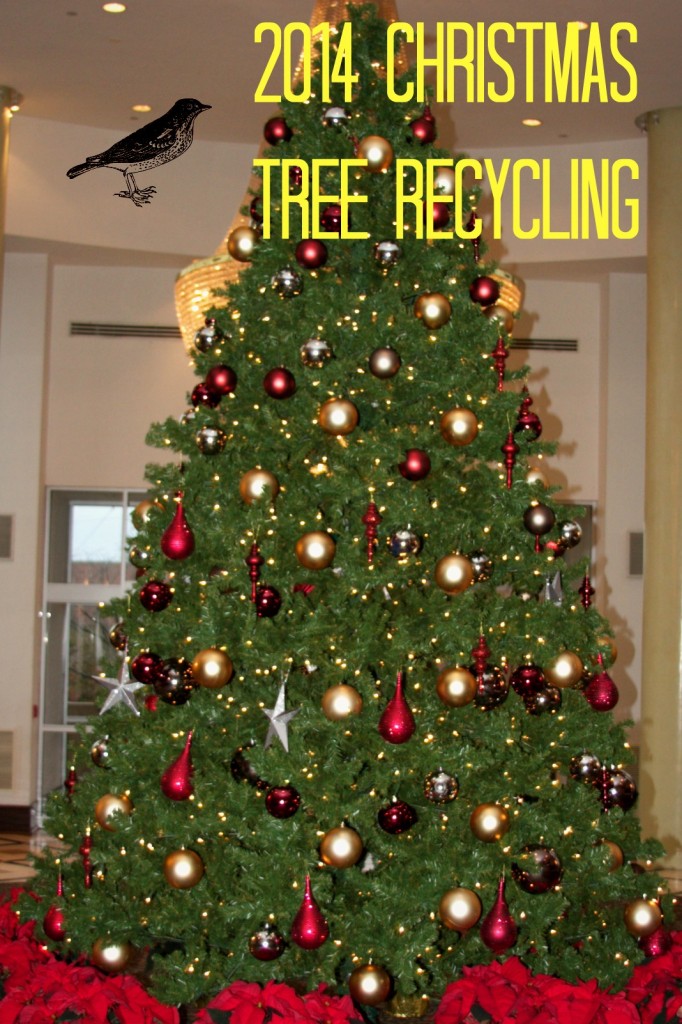 Philadelphia Christmas Tree Recycling 2013- 2014