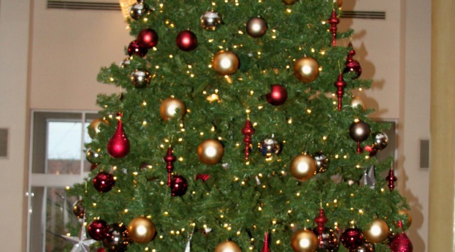 Philadelphia Christmas Tree Recycling: 2013-2014