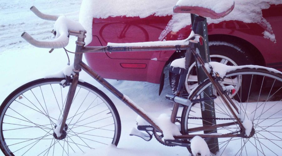 Safer Ice Melt: Protect Your Pets – Friday Quickie