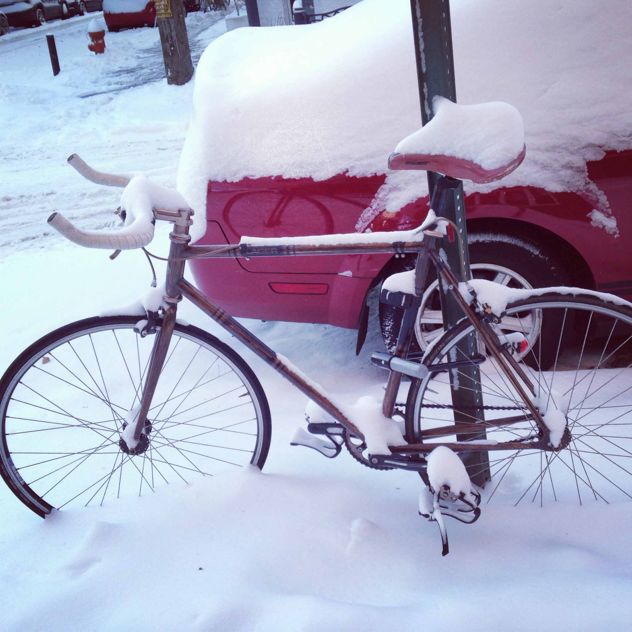 Safer Ice Melt: Protect Your Pets – Friday Quickie