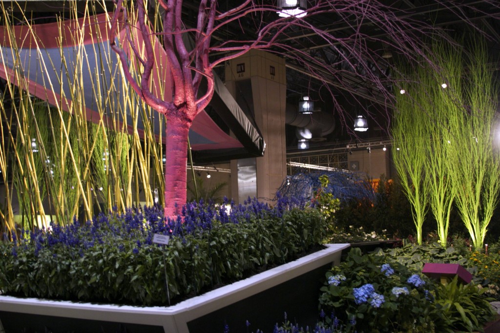 Philadelphia Flower Show 2014