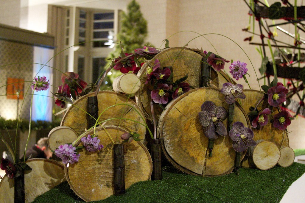 Flower Show 2014 Orchid Display