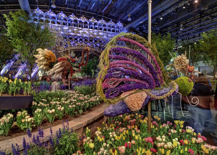 Philadelphia Flower Show