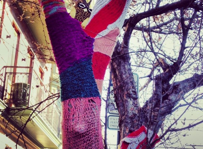 Arbor Day – 7 Ways to Celebrate Philly Trees
