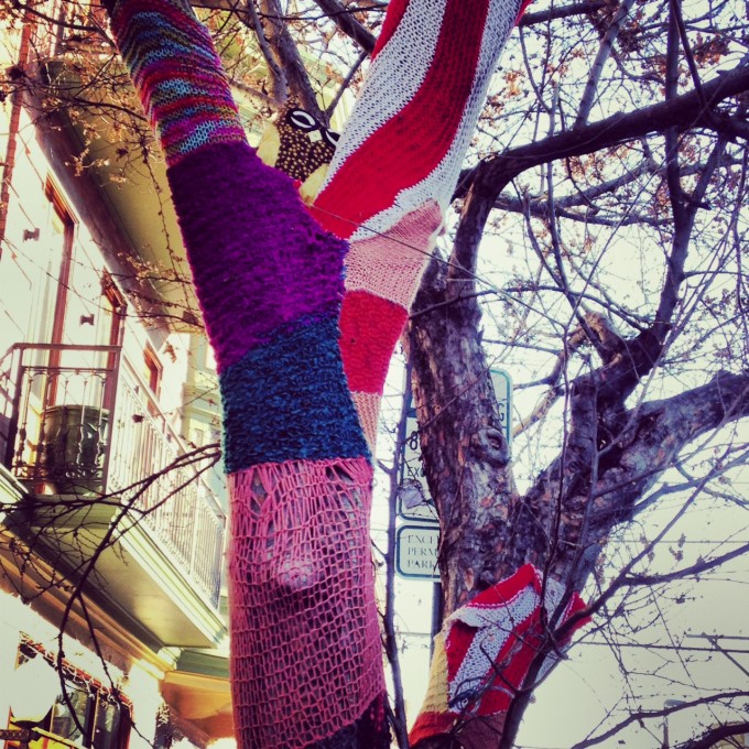 Arbor Day – 7 Ways to Celebrate Philly Trees