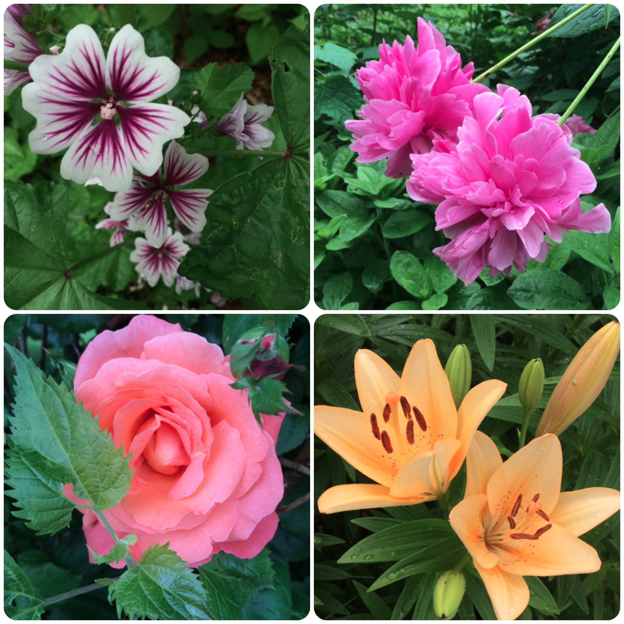 Green Philly Weekend Guide 6/21 – 6/22