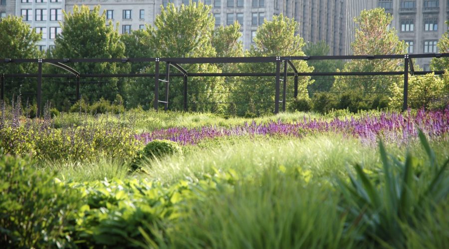 Green Philadelphia Hotels: Where to Stay