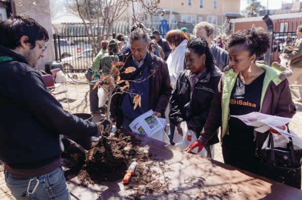 Photo: tree giveaway at the West Oak Lane Library on April 6, 2014