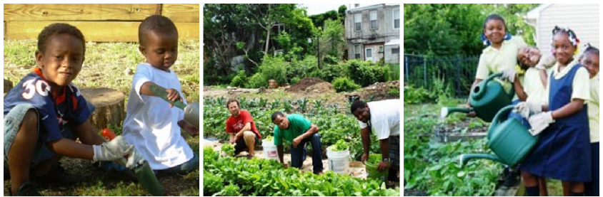 Urban Tree Connection: Community Spotlight