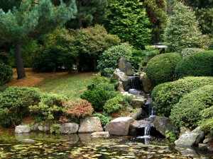 Green Philly Week Guide