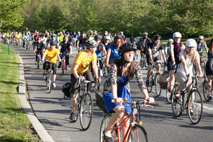 Philly verses Copenhagen: Cycling in the City