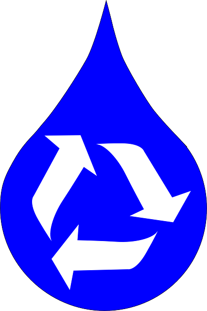 6 Easy Ways to Recycle Water Every Day