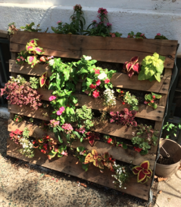 Photo: Hanging garden made out of recycled wooden pallets