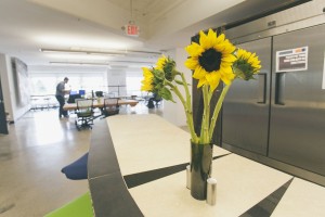 City CoHo, Green Co-working in Philadelphia
