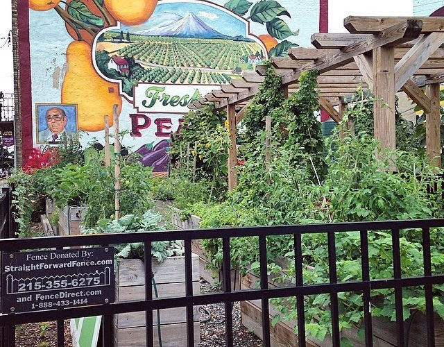 Shrimp Boils, Bike Tours, and Guided Runs: Green Weekend Guide: 8/15 – 8/17