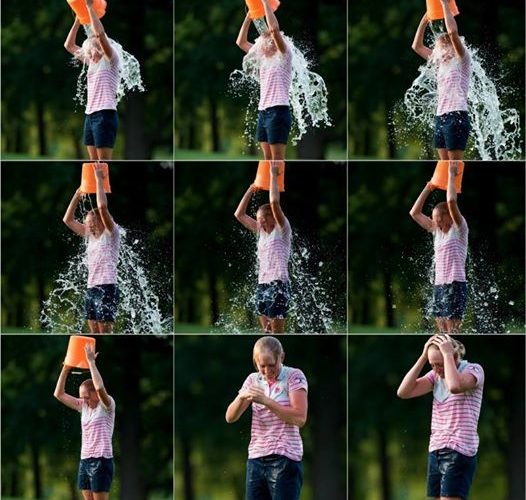 Considering Waste: Tomatoes & Ice Bucket Challenges