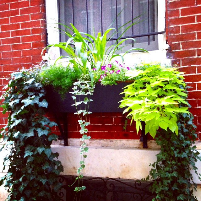 Eat & Drink Local, Book Reading & Walk this Week: 8/5 – 8/8