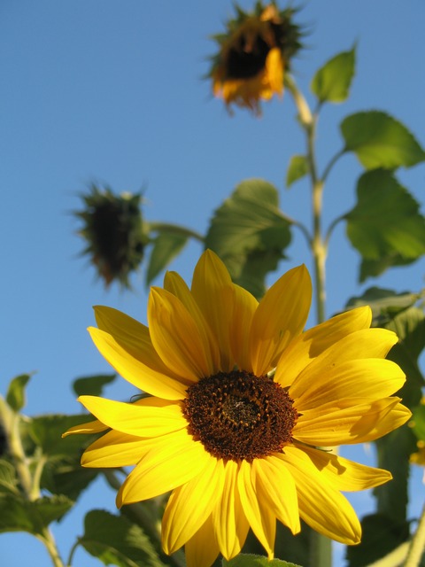 Kayaking, Green drinks & Urban Riding Basics: Green Week Guide 9/2 – 9/4