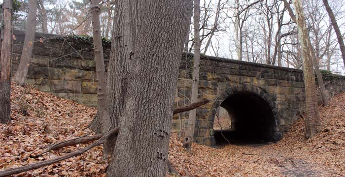 Beginners Guide: Hiking Fairmount Park
