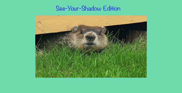 Groundhogging It: Week Events 2/2 – 2/6