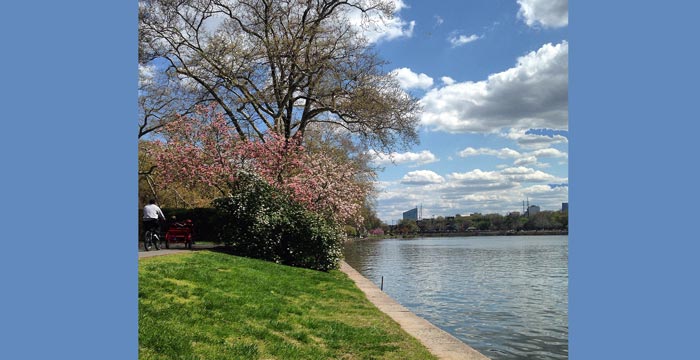 Celebrate your Mom: Weekend Events May 8-10, 2015