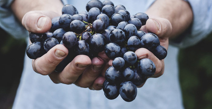 3 Tips to Eat Healthy & Sustainable on a Budget