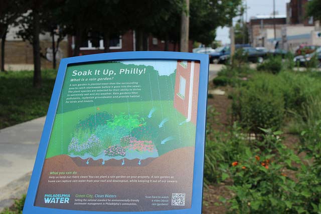 rain garden Philadelphia green city clean waters