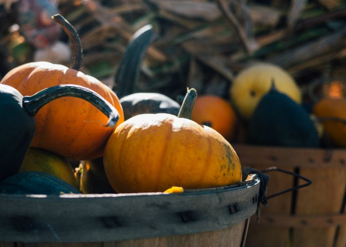 Reconsider Your Halloween “Treats”