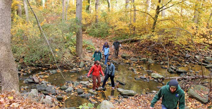 Best 14 Places to Take a Hike Near Philly