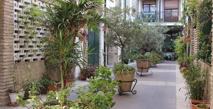 Organic Gardening 101: 4 Steps to a Chemical-Free Garden