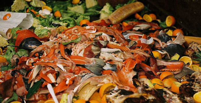 Where to Donate Food in Philly