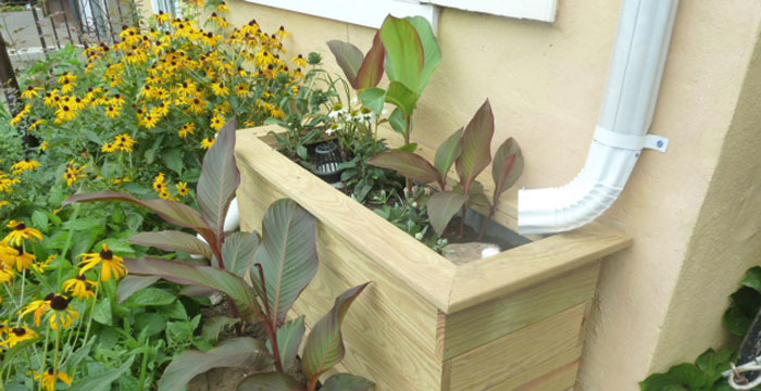 Rain Check: How to get FREE Rain Barrels through Philly Water