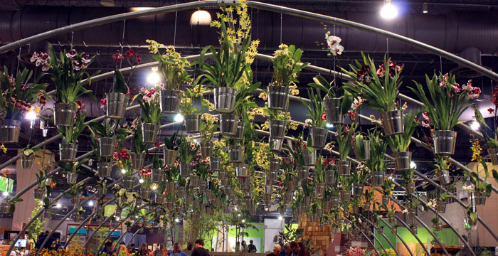 How Sustainable is the Philadelphia Flower Show 2017?