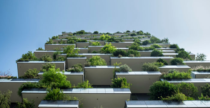 Announcing Beyond the Blog: Careers in Sustainability