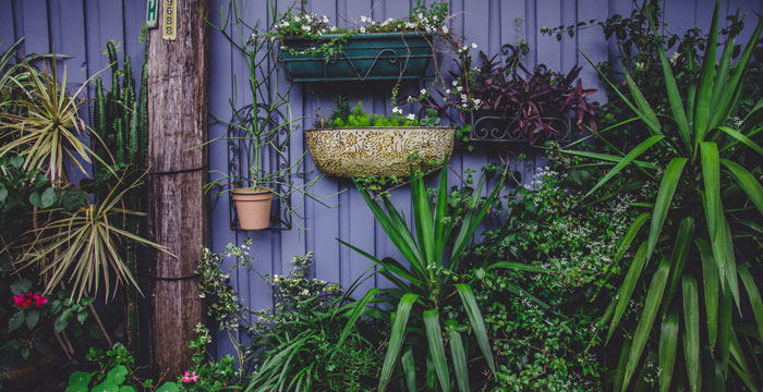 Expert Container Garden Care Tips