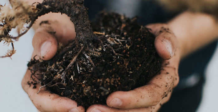 Guide to Yard Waste Disposal In Philadelphia