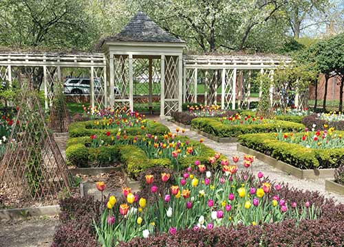 18th Century Garden