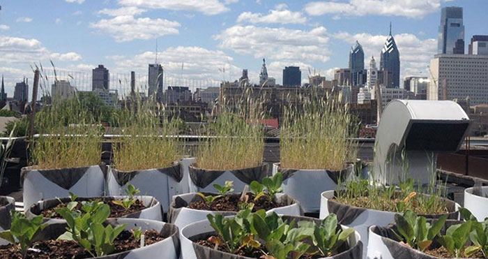 4 Green Roofs You Can Visit in Philadelphia