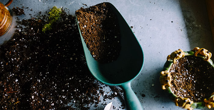 5 Best Gardening Tips From Readers