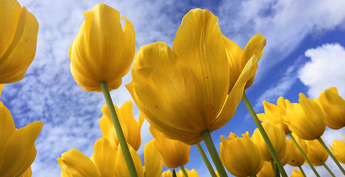 7 Sustainability Events You’ll Love in May