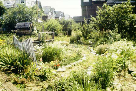 Summer Winter Garden
