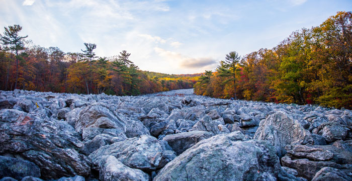 Learn about PA Enviro Policy at PennFuture Environmental Rights Forum