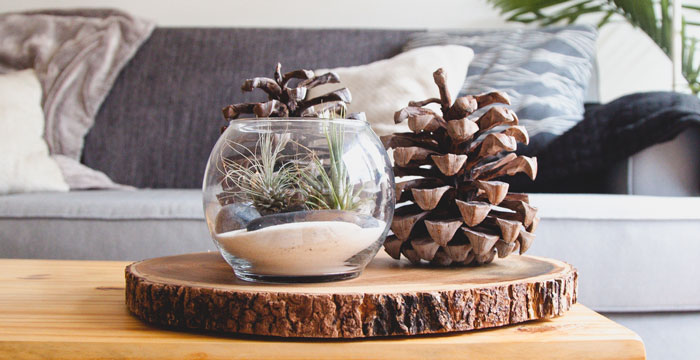 3 Local Shops to Spruce Up Your Home with Sustainable Digs This Fall