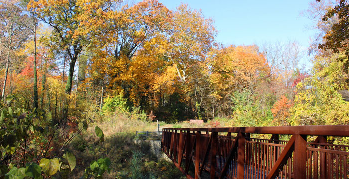 A Walk Through Nature & History: The Wissahickon Valley’s Secret Past