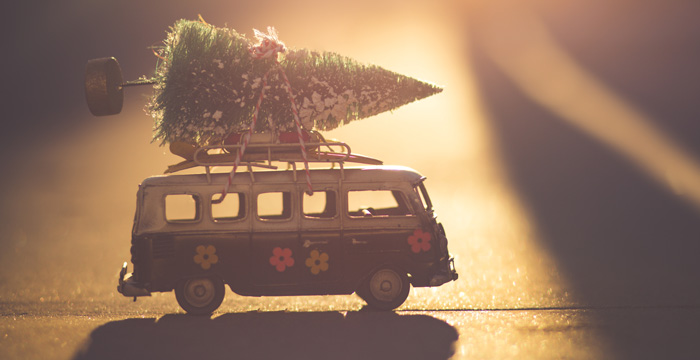How to Recycle Your Christmas Tree 2018