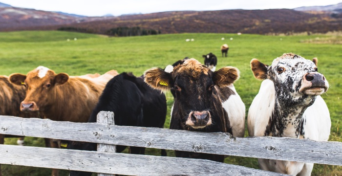 Philabundance’s Kait Bowdler Says Hunger is a Green Issue