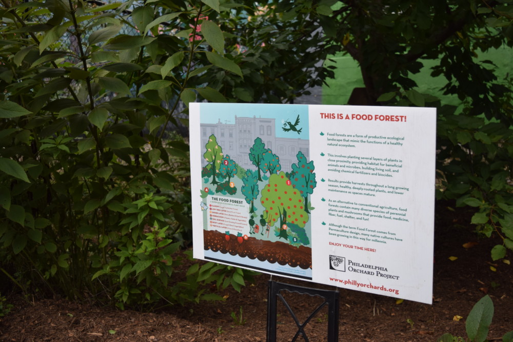 Overbrook Food Garden
