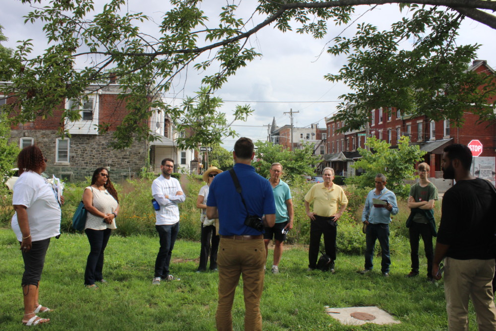 Hestonville Rain Garden Tour